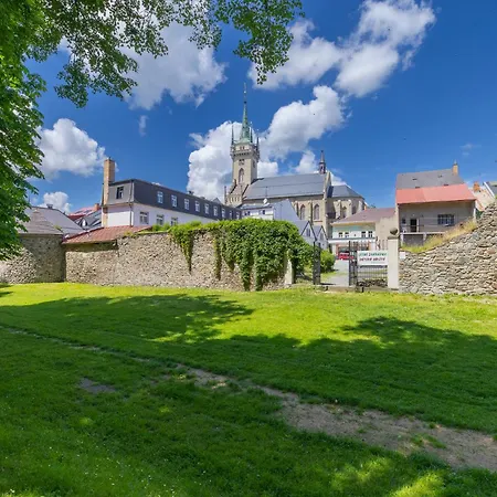 ホテル Pivovar 2*