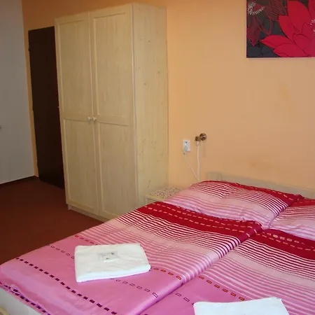 ホテル Pivovar 2*